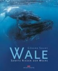 Wale