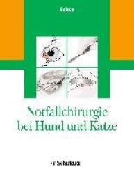 Notfallchirurgie bei Hund und Katze