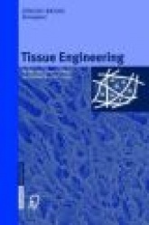 Tissue Engineering : Neues zum Gewebeersatz im Muskel-Skelett-System