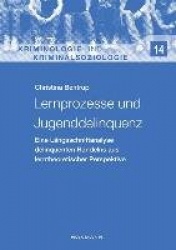 Lernprozesse und Jugenddelinquenz