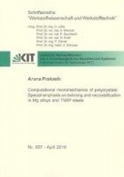 Computational micromechanics of polycrystals: Special emphasis on twinning and recrystallization in Mg alloys and TWIP steels
