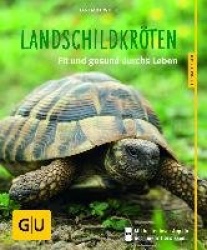 Landschildkröten