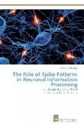 The Role of Spike Patterns in Neuronal Information Processing