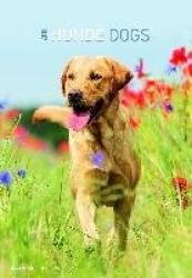 Hunde 2018