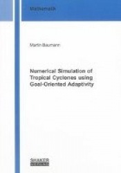 Numerical Simulation of Tropical Cyclones using Goal-Oriented Adaptivity