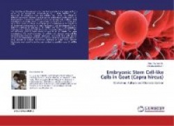 Embryonic Stem Cell-Like Cells in Goat (Capra Hircus)