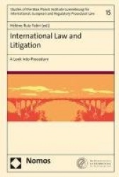 International Law and Litigation - A Look Into Procedure