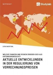 Aktuelle Entwicklungen in der Regulierung von Verrechnungspreisen. Welche Chancen und Risiken ergeben sich aus Unternehmenssicht