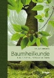 Baumheilkunde