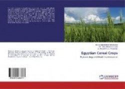Egyptian Cereal Crops