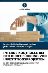 Interne Kontrolle Bei Der Durchführung Von Investitionsprojekten