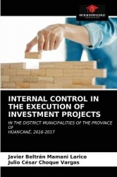 Internal Control in the Execution of Investment Projects