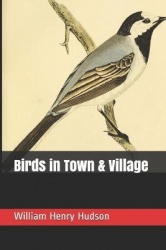 Birds in Town & Village