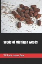 Seeds of Michigan Weeds