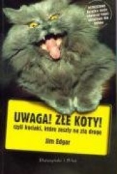 Uwaga Zle koty czyli kociaki ktore zeszly na zla droge