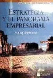 LA ESTRATEGIA Y EL PANORAMA EMPRESARIAL
