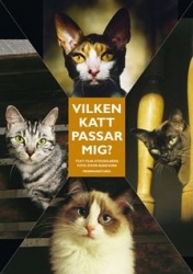 Vilken katt passar mig? : Ingen katt är den andra lik