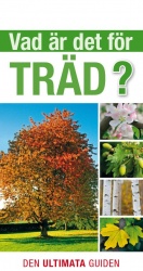 Vad är det för träd?