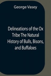 Delineations Of The Ox Tribe The Natural History Of Bulls, Bisons, And Buffaloes. Exhibiting All The Known Species And The More 