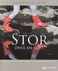 Stor över en natt