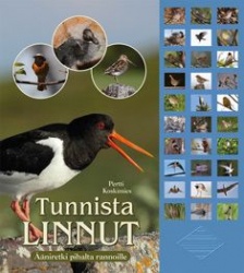 Tunnista linnut : ääniretki pihalta rannoille