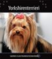 Yorkshirenterrieri