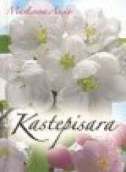 KASTEPISARA