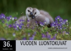 Vuoden luontokuvat 2016
