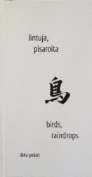 Lintuja, pisaroita