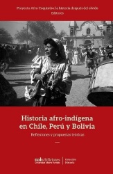Historia afro-indígena en Chile, Perú y Bolivia
