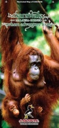 Sarawak (Malaysia - Borneo)