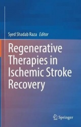 Regenerative Therapies in Ischemic Stroke Recovery