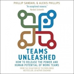 Teams Unleashed - How to Release the Power and Human Potential of Work Teams