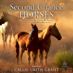 Second-Chance Horses - True Stories of the Horses We Rescue and the Horses Who Rescue Us