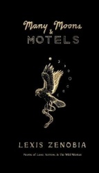 Many Moons&Motels