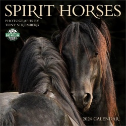 Spirit Horses 2024 Calendar :