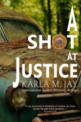 A Shot at Justice - A Highly Addictive Vigilante Story