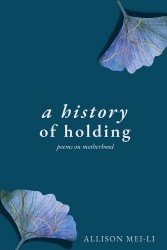 A History of Holding - Poems on Motherhood