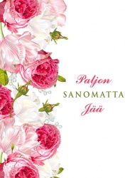 Paljon sanomatta jää