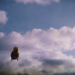 Stung! (cd)