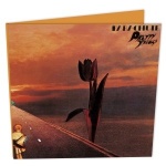 Parachute (cd digipak)