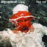Bewilderment (cd)