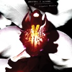 Cellophane Memories (lp)