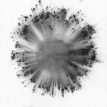 Obverse (2lp)