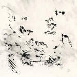 Volant (cd)