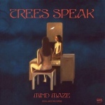 Mind Maze (CD)