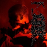 Stranger (cd)