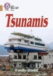 Tsunamis - Band 12/Copper