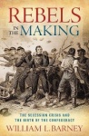 Rebels in the Making - The Secession Crisis and the Birth of the Confederacy