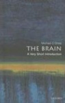 The Brain - A Very Short Introduction